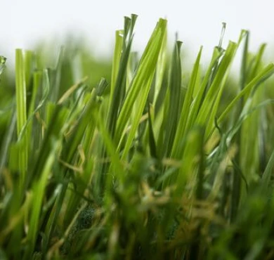 Yanda Verdite Monobacking